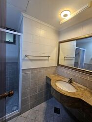 Parc Palais (D21), Condominium #598586261